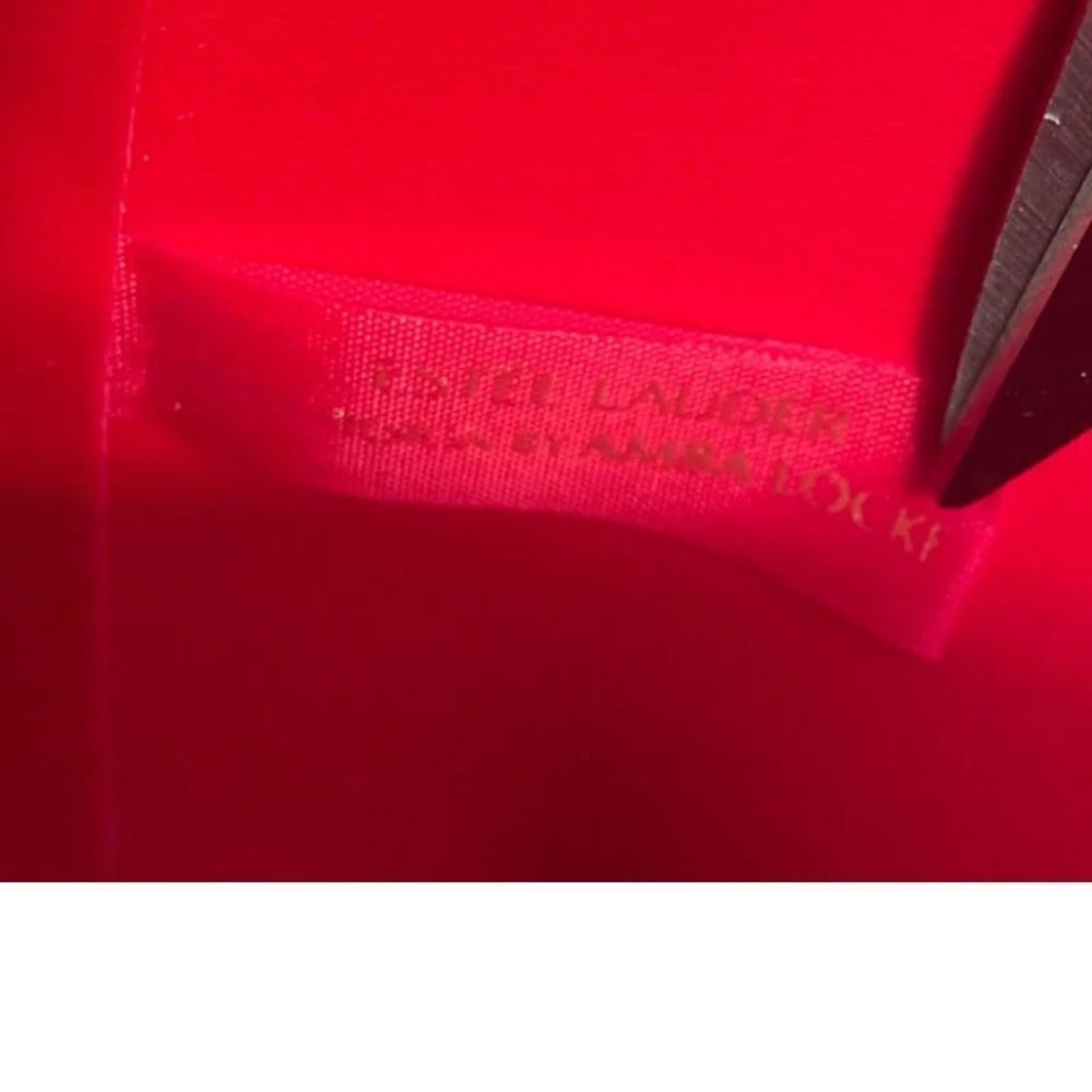 Estée Lauder Faux small bag with CD NWT lipstick - Picture 10 of 13